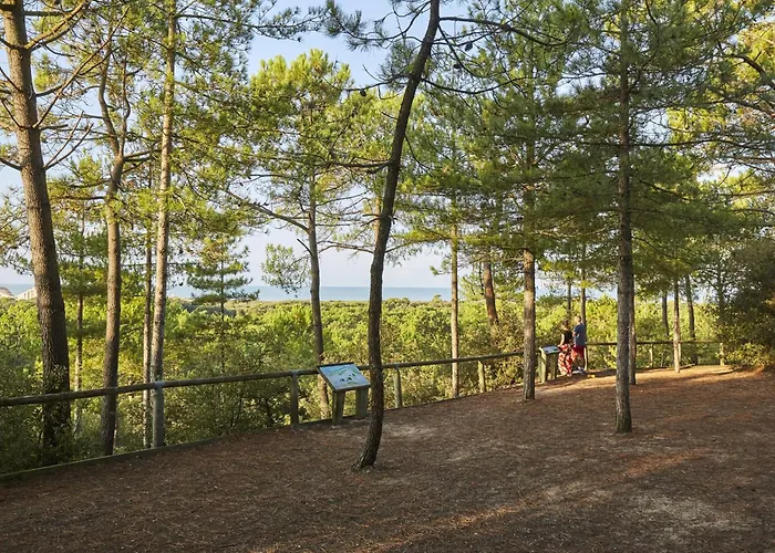 Calme A 150m De La Avec Parking Prive - Fr-1-323-305 * 생장드몽